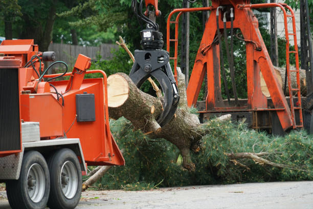 Best Tree Mulching  in Seneca, IL